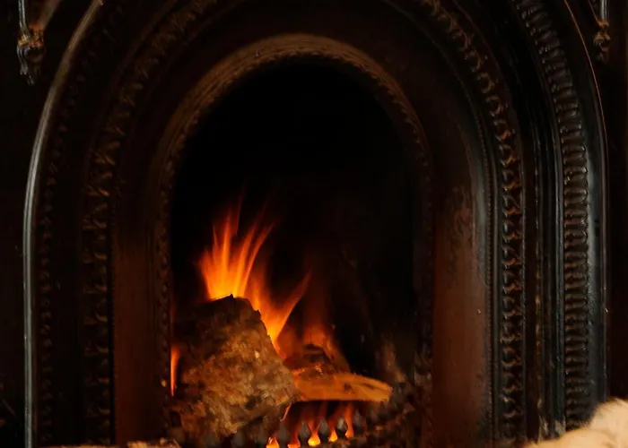 酒店 沃特福兰特酒店 巴尔的摩