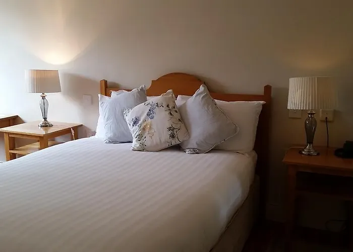 沃特福兰特酒店 3* 巴尔的摩